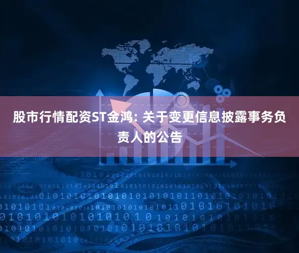 股市行情配资ST金鸿: 关于变更信息披露事务负责人的公告