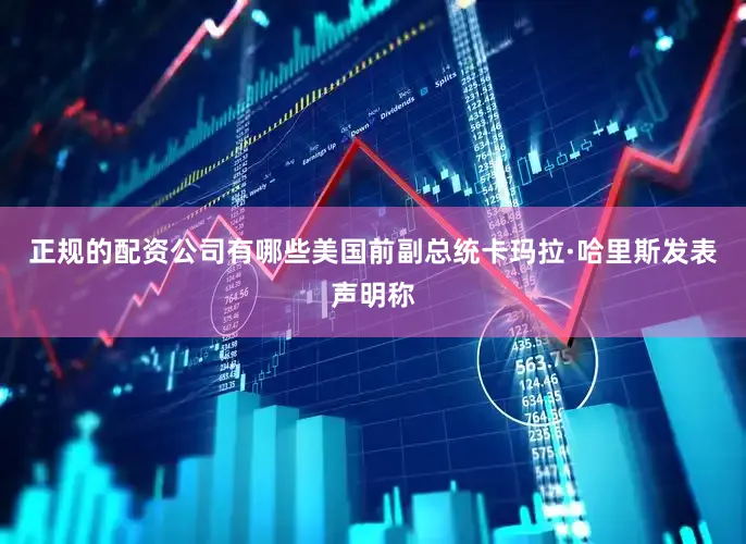 正规的配资公司有哪些美国前副总统卡玛拉·哈里斯发表声明称