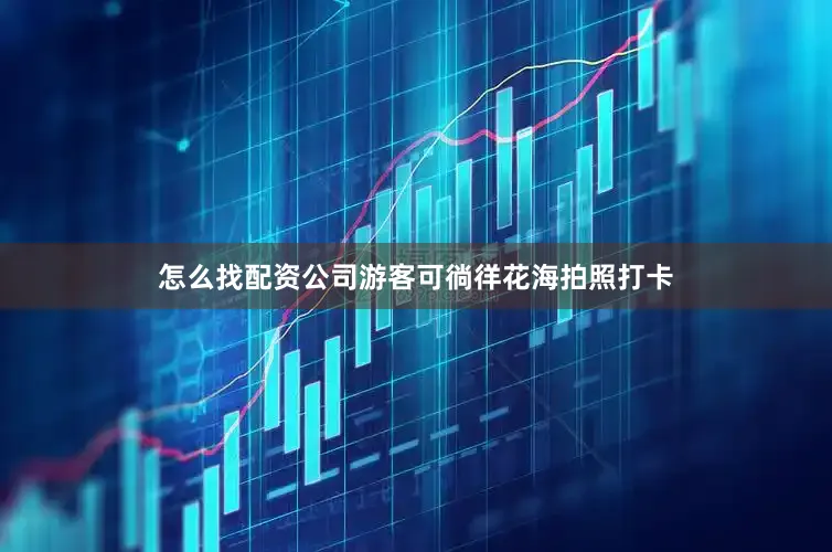 怎么找配资公司游客可徜徉花海拍照打卡