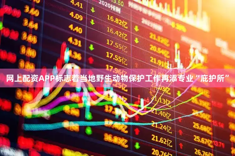 网上配资APP标志着当地野生动物保护工作再添专业“庇护所”