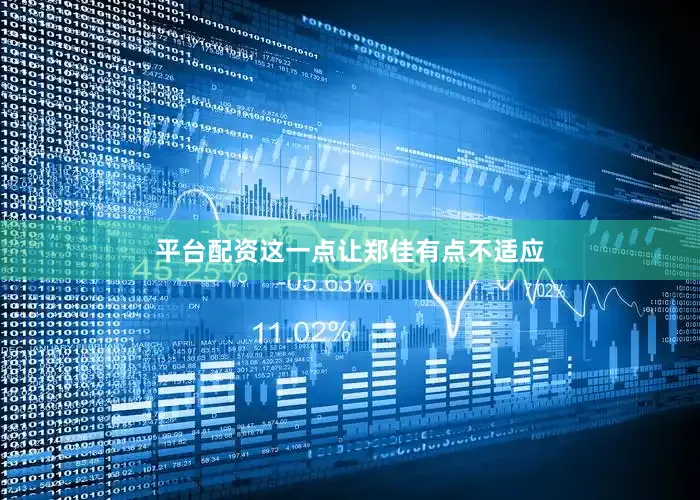 平台配资这一点让郑佳有点不适应